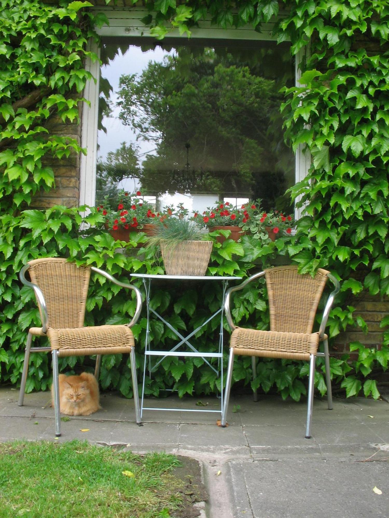 B&B Villa Vanilla Ieper Eksteriør bilde